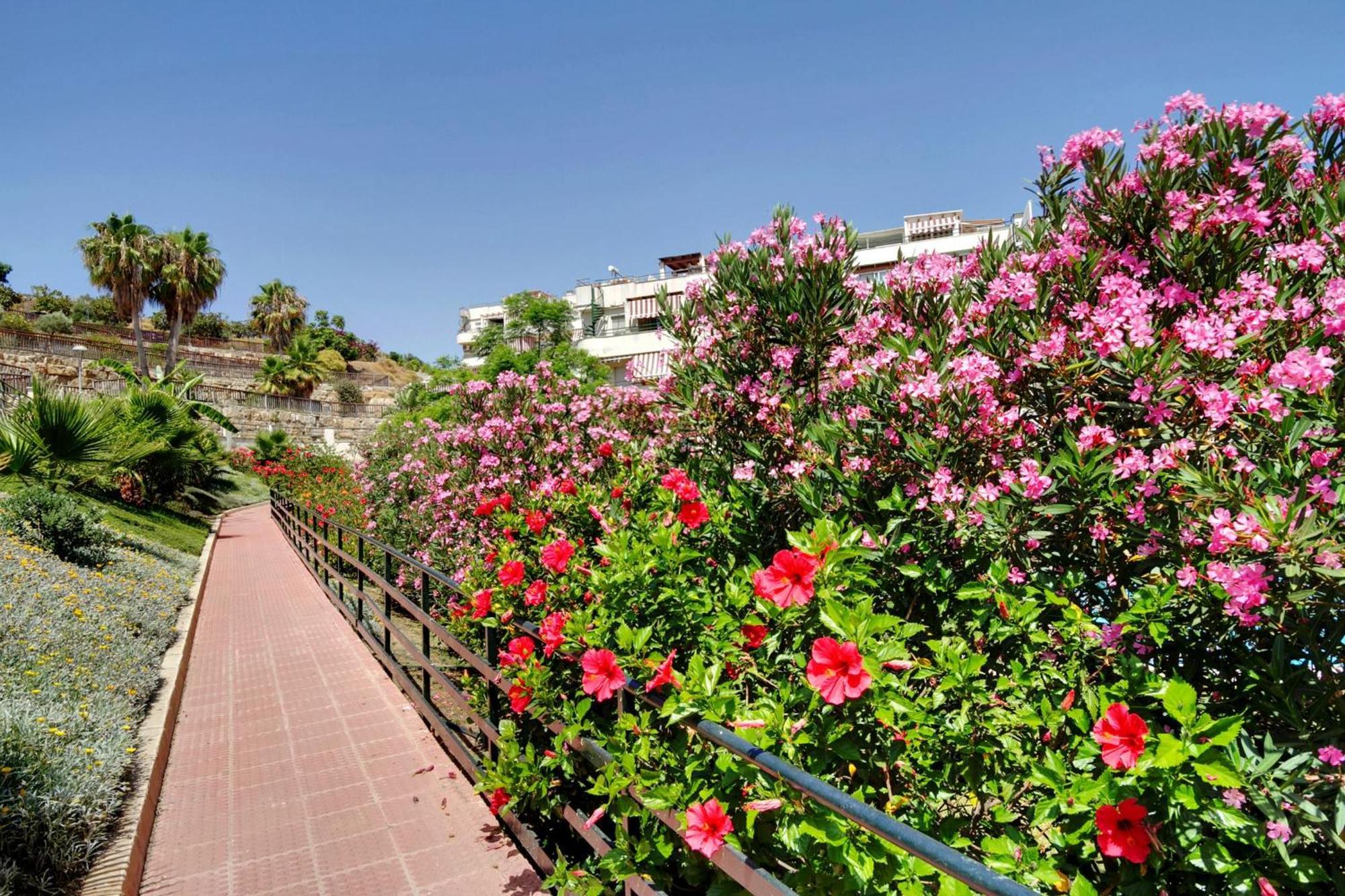 מאלגה Del Parque Flats - Golf & Beach Terrace מראה חיצוני תמונה
